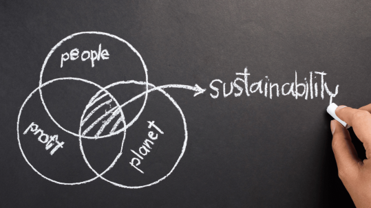 sustainable business