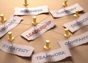 leadership development