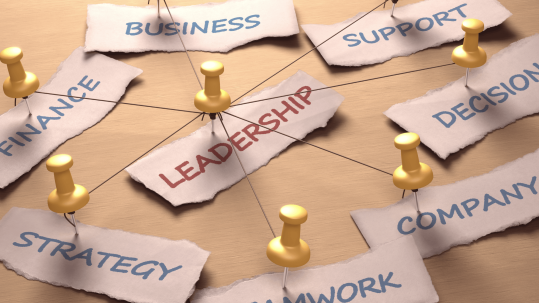 leadership development